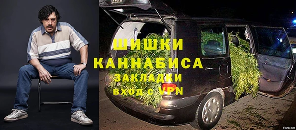 прущие грибы Баксан