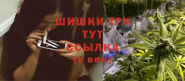 прущие грибы Баксан