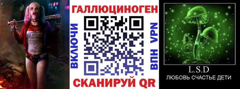 Псилоцибиновые грибы Psilocybine cubensis Верея