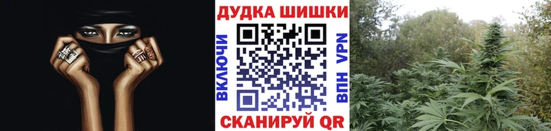 Марихуана сатива  omg   Верея  закладка 